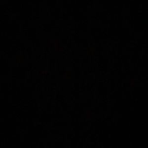 Meet your Posher, Trinity